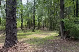 371 Fm 1872, Corrigan, TX 75939 - Photo 45