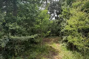 371 Fm 1872, Corrigan, TX 75939 - Photo 47