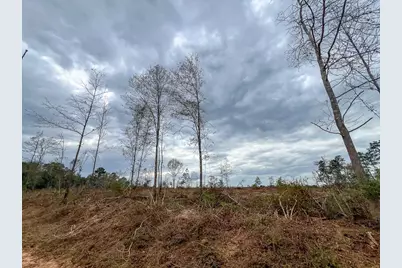 T-3 Cr 4590, Spurger, TX 77660 - Photo 7