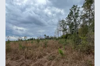 T-3 Cr 4590, Spurger, TX 77660 - Photo 13