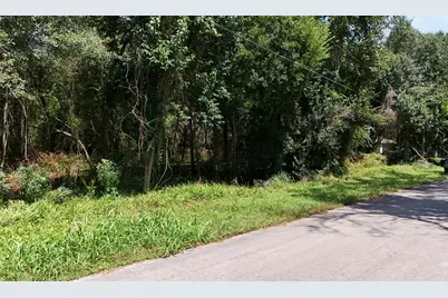 00 Cherry Creek Road, Dayton, TX 77535 - Photo 7