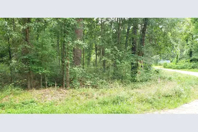 80 Morris Creek Road, Coldspring, TX 77331 - Photo 3