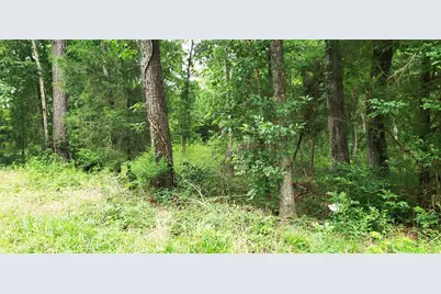 80 Morris Creek Road, Coldspring, TX 77331 - Photo 7