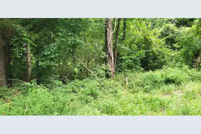 80 Morris Creek Road, Coldspring, TX 77331 - Photo 1