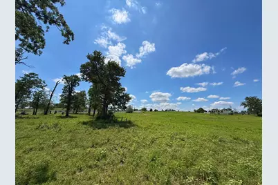 7117 Pr 3155, Buffalo, TX 75831 - Photo 11
