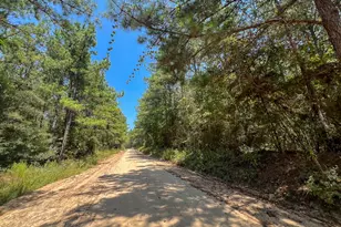 7 County Road 3230, Colmesneil, TX 75938 - Photo 1