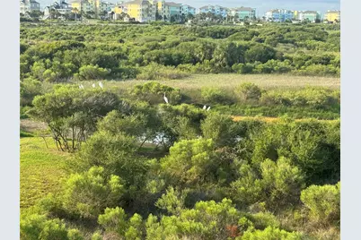 25943 Bay Breeze Drive, Galveston, TX 77554 - Photo 3