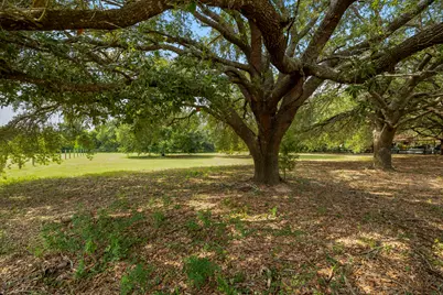 0 Robeck Street, Tomball, TX 77377 - Photo 5