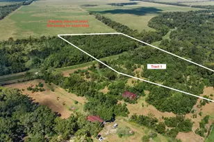 Tract 1 Fm 1409, Dayton, TX 77535 - Photo 1