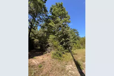 3B-1-61,62 Fire Sky Rd, Huntsville, TX 77340 - Photo 5
