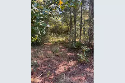 3B-1-61,62 Fire Sky Rd, Huntsville, TX 77340 - Photo 3