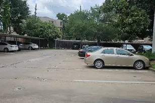 7900 N Stadium Dr, Houston, TX 77030 - Photo 13