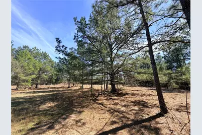 919 Pine Valley, Diboll, TX 75941 - Photo 37