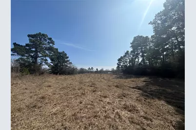 919 Pine Valley, Diboll, TX 75941 - Photo 9