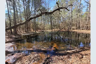 919 Pine Valley, Diboll, TX 75941 - Photo 47