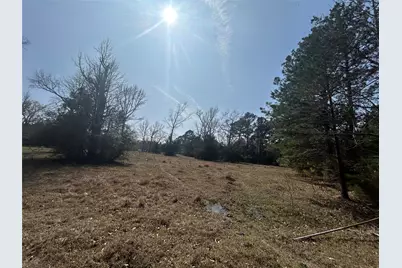 919 Pine Valley, Diboll, TX 75941 - Photo 19