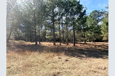 919 Pine Valley, Diboll, TX 75941 - Photo 33