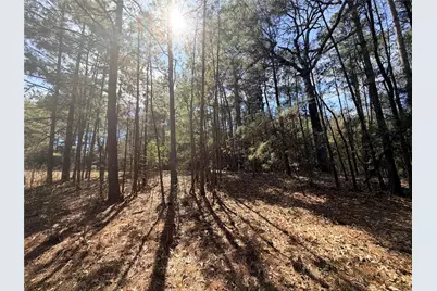 919 Pine Valley, Diboll, TX 75941 - Photo 25