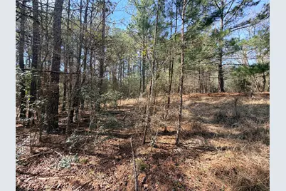 919 Pine Valley, Diboll, TX 75941 - Photo 41