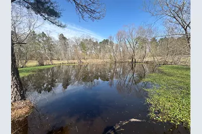 919 Pine Valley, Diboll, TX 75941 - Photo 13