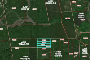 Tbd Farm To Market 770 East Of Tx, Hull, TX 77564 - Photo 1