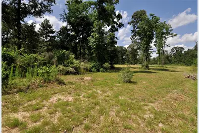 26150 Grand Pines Road, Magnolia, TX 77355 - Photo 15