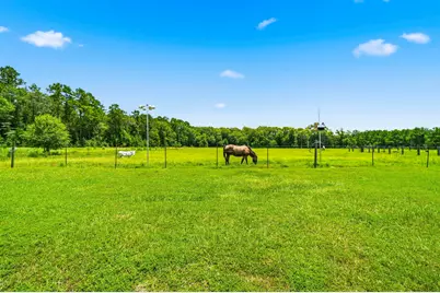 671 Tram Road, Livingston, TX 77351 - Photo 41
