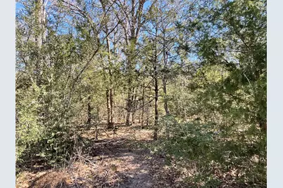 Tbd County Road 212, Hallettsville, TX 77964 - Photo 39