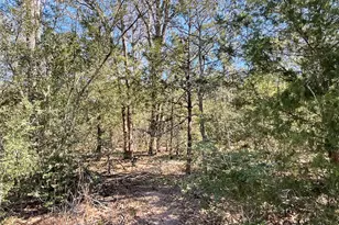 Tbd County Road 212, Hallettsville, TX 77964 - Photo 39