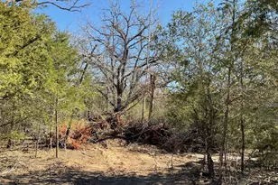 Tbd County Road 212, Hallettsville, TX 77964 - Photo 15