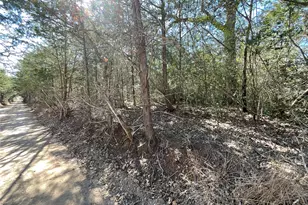 Tbd County Road 212, Hallettsville, TX 77964 - Photo 5