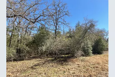 Tbd County Road 212, Hallettsville, TX 77964 - Photo 41