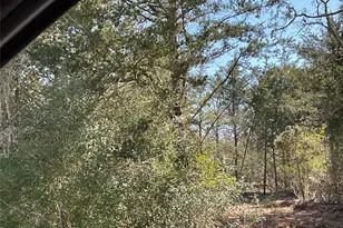 Tbd County Road 212, Hallettsville, TX 77964 - Photo 13