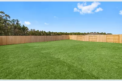 16031 Tallis Drive, Conroe, TX 77303 - Photo 29