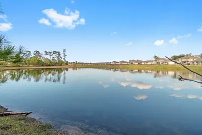 16031 Tallis Drive, Conroe, TX 77303 - Photo 43