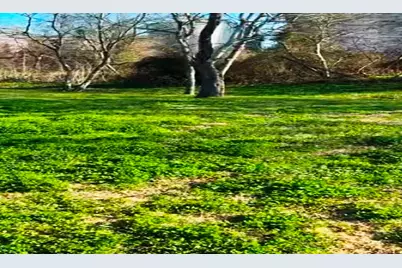 622 6th Street, Eagle Lake, TX 77434 - Photo 11