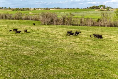 Tbd Fm 50, Brenham, TX 77833 - Photo 9
