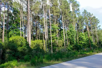 10-27-23 Lonestar Road, Huntsville, TX 77340 - Photo 5