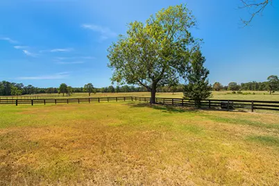 508 Hubert Cryer Road, Zavalla, TX 75980 - Photo 47