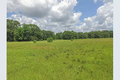 Tbd Fm 350 S, Livingston, TX 77351 - Photo 13