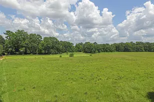 Tbd Fm 350 S, Livingston, TX 77351 - Photo 1
