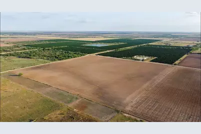 2900 County Road, Edinburg, TX 78542 - Photo 5