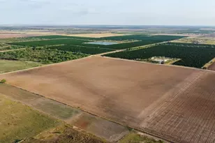 2900 County Rd, Edinburg, TX 78542 - Photo 5