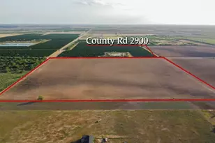 2900 County Rd, Edinburg, TX 78542 - Photo 7