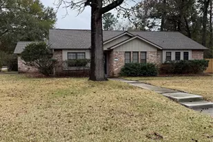 717 Blue Ridge Dr, Shenandoah, TX 77381 - Photo 17