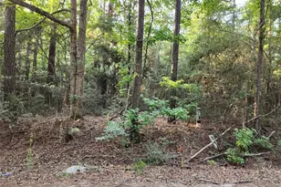 135 Arborcrest Dr, Brookeland, TX 75931 - Photo 19