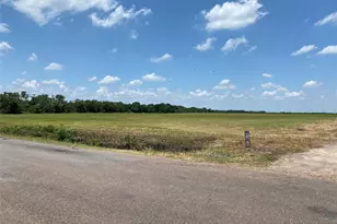 0 County Rd 115, Nada, TX 77460 - Photo 1
