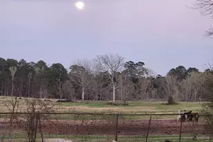 13343 Fm 1725 Rd, Cleveland, TX 77328 - Photo 15