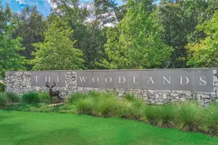 11 Ryanwyck Pl, The Woodlands, TX 77384 - Photo 37