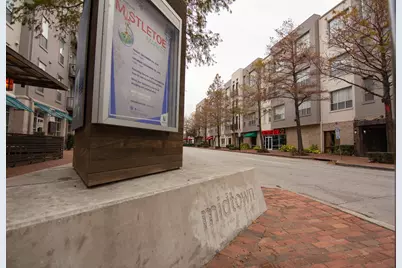 1408 W Webster Street, Houston, TX 77019 - Photo 41